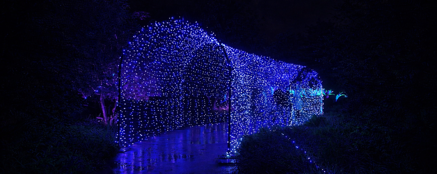 ILLUMINATED TUNNEL DX版エディション4/45 Tunnels & Archways – S4 Lights