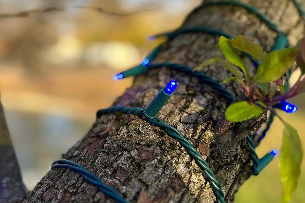 Christmas Lighting and Decor Products That Save Money, Energy & the Earth
