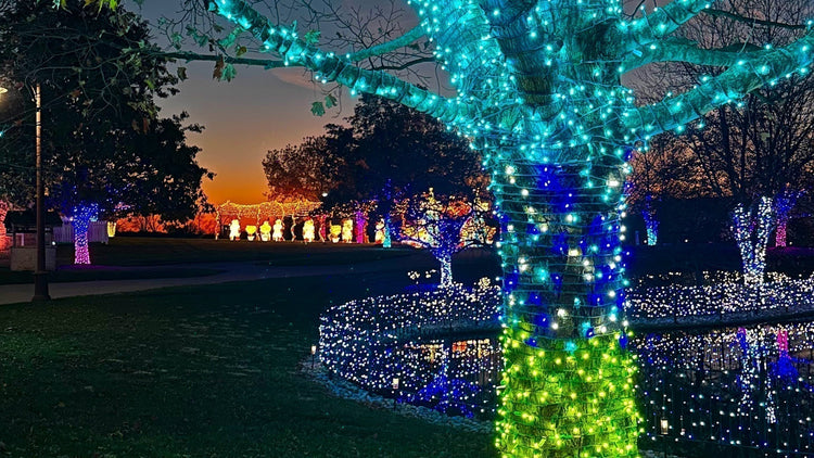 Lumen Degradation & Color Consistency Challenges: The NxG Advantage