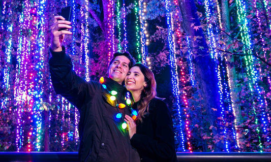 5 Tips For Creating A Memorable Holiday Lighting Event