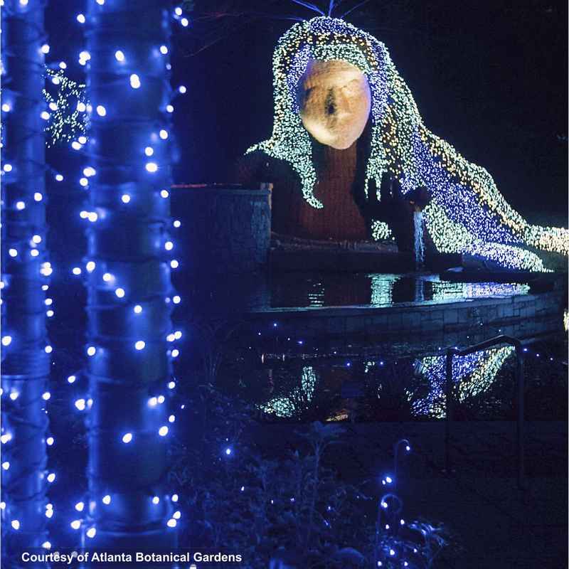 Low Voltage Light Strings