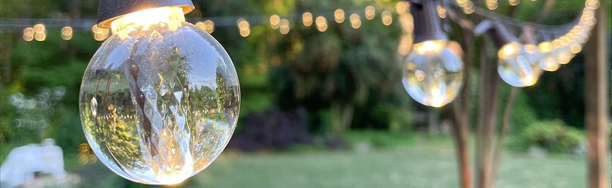 Warm White Replaceable Bulbs