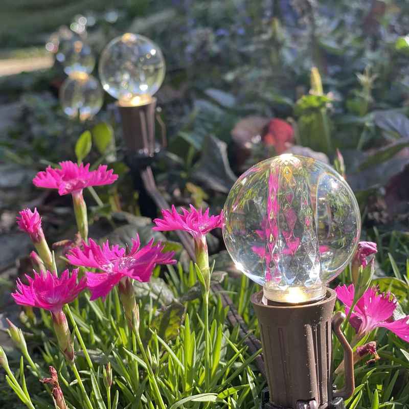G40 Smooth Replacement Bulbs