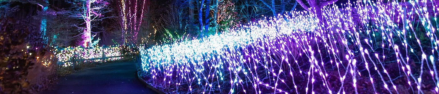 Light Stakes