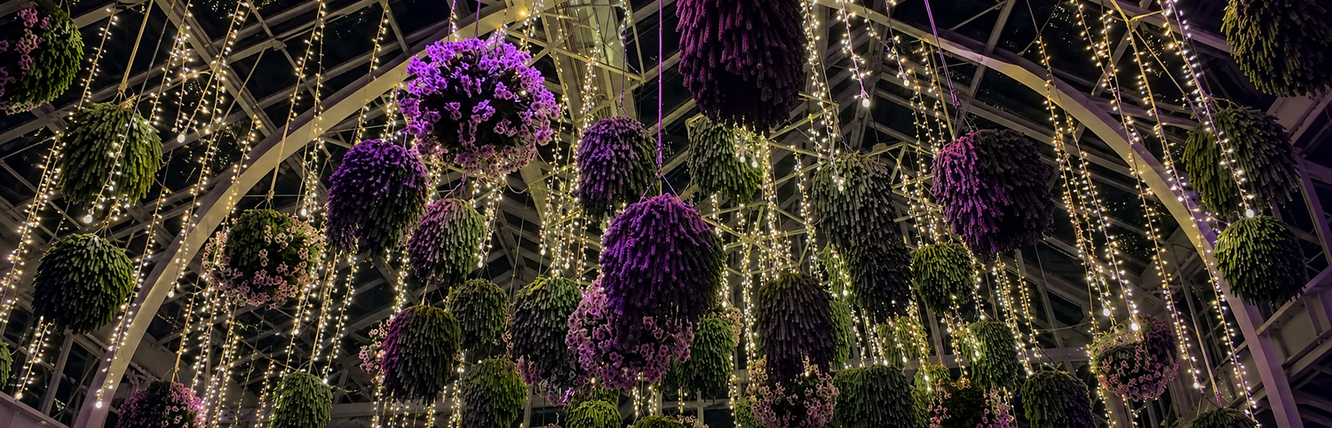 Garlands & Showers