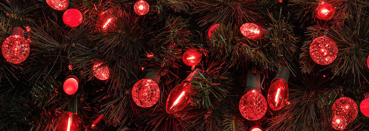 Decorative Bulbs