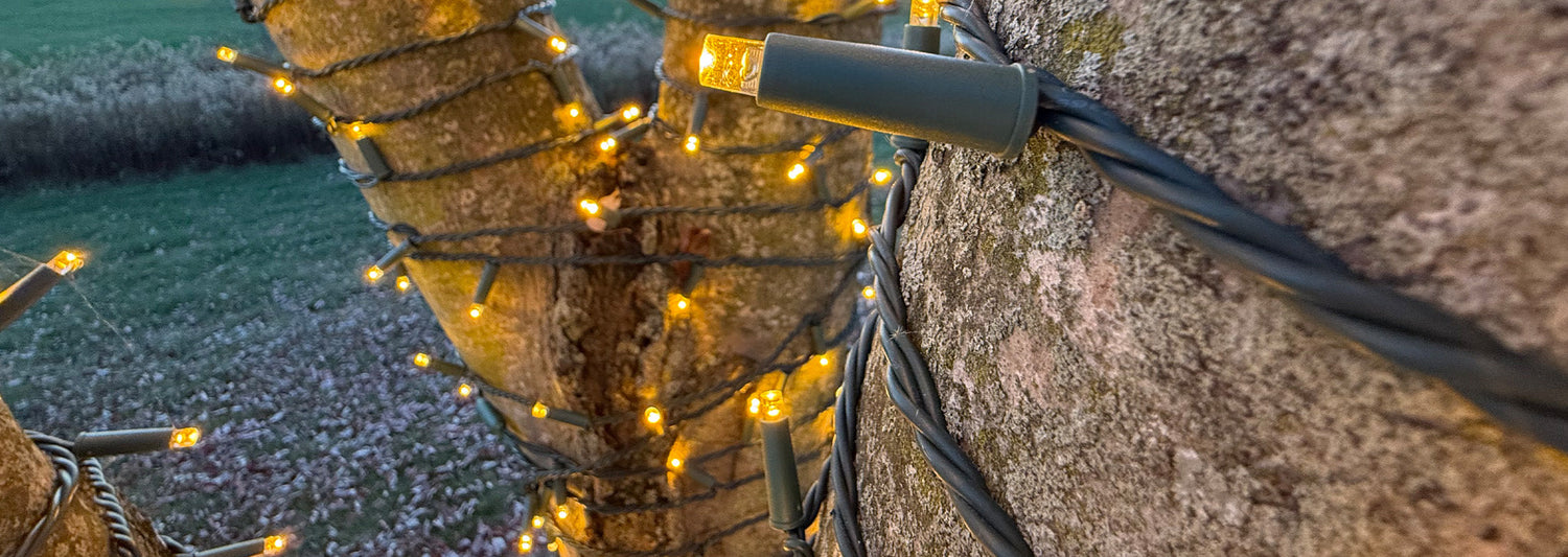 NxG® Benchmark Coupling