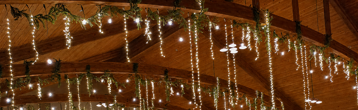Pendant Lights