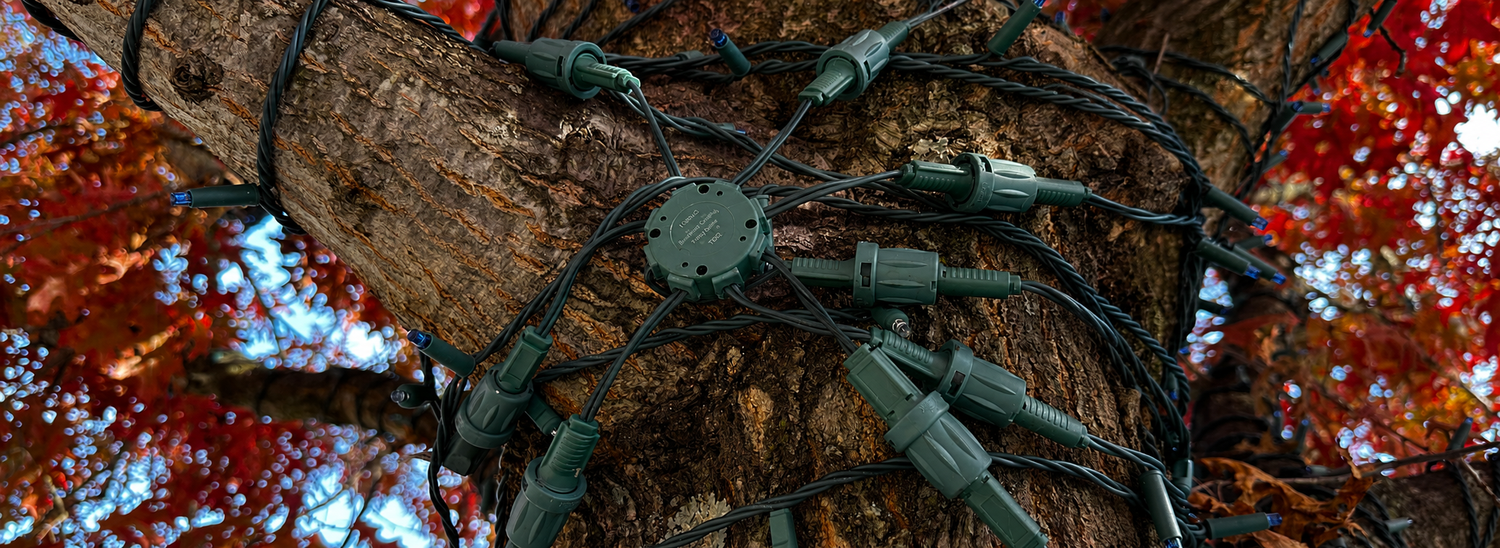 Power splitter allowing multiple strings to wrap a tree