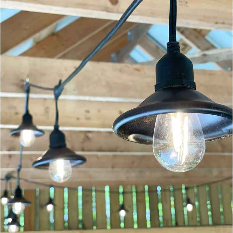 Bulbed Stringer Light Bulb Black Stringer Wintergreen Corporation