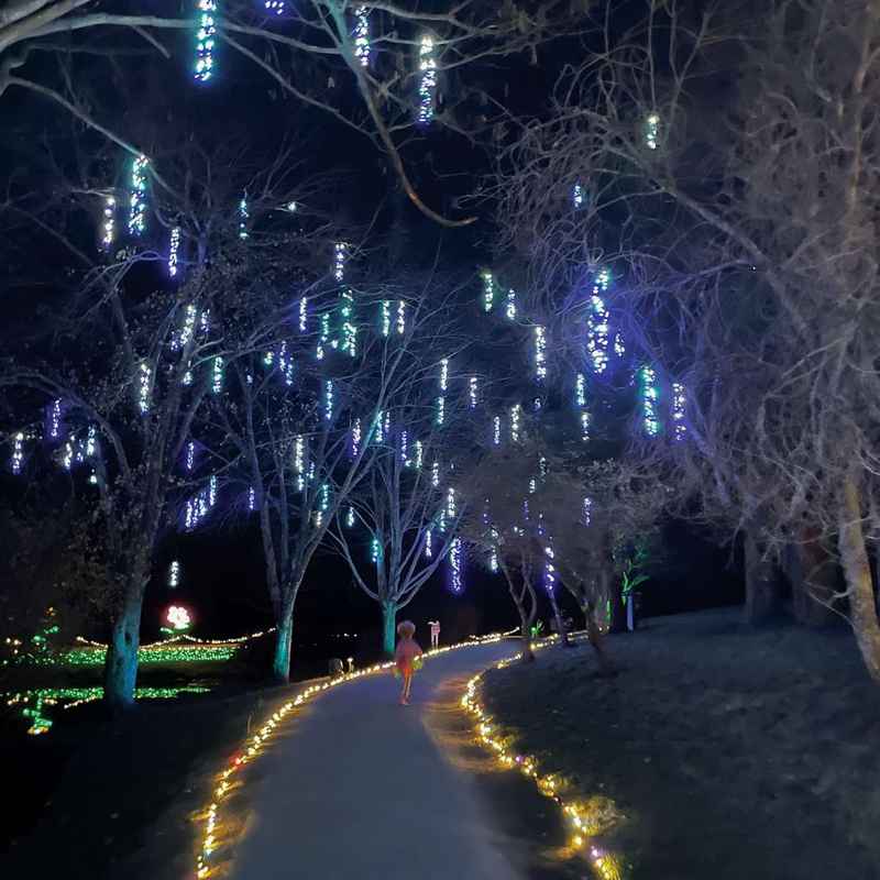 48L LED Supernova Light Cluster / 12-Channel