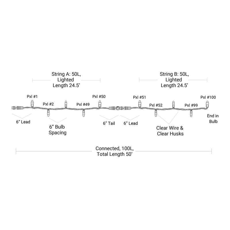 50 L 5mm Dome Light String, 6in Bulb Spacing