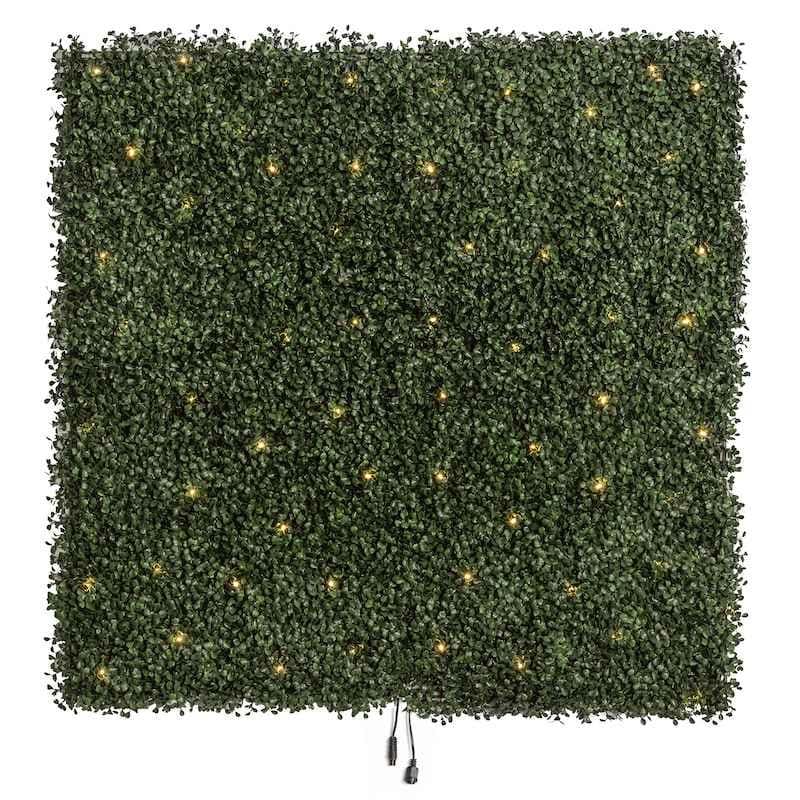 64L Pre-Lit Boxwood Wall Panel, 3.25 square feet