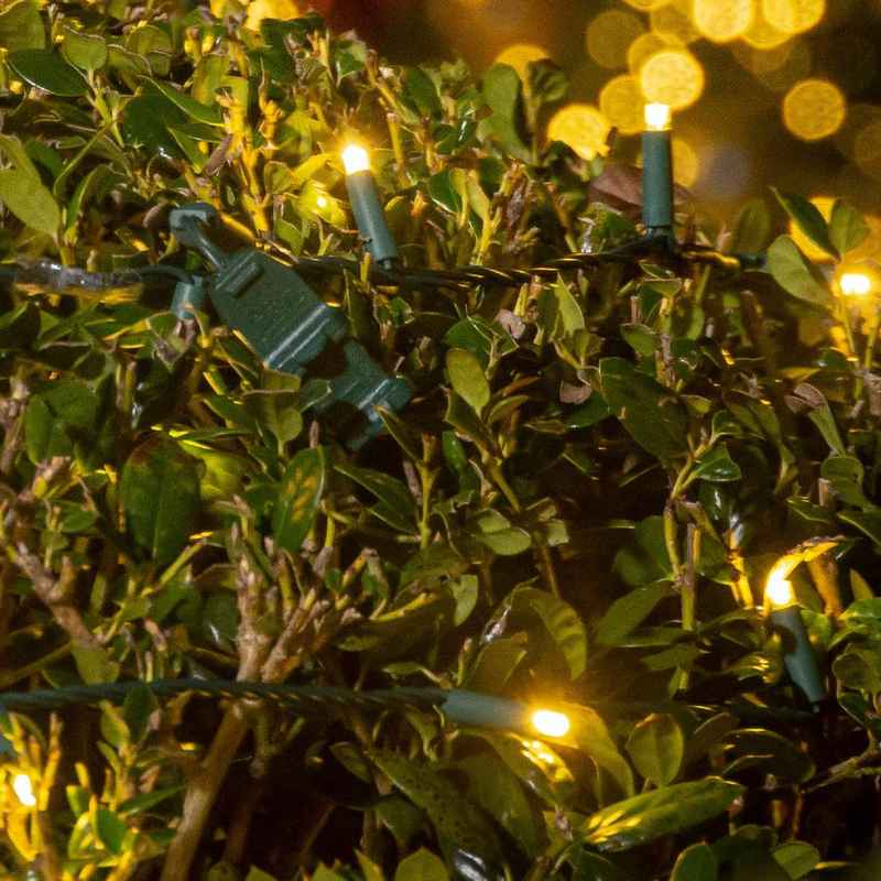 Standard Led String 70L 5mm LED Light String, 6in Bulb Spacing – S4 Lights