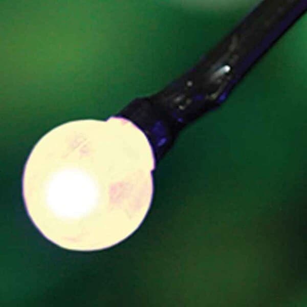 96L LED Cherry Drop Net Light / 3-Channel