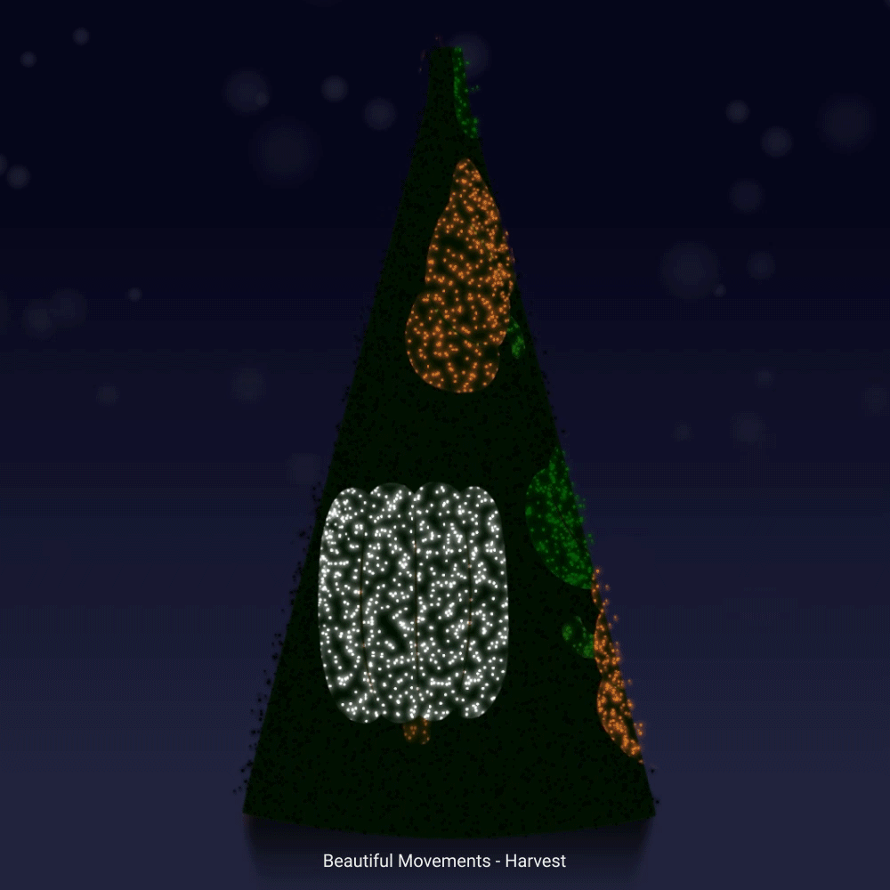 Diamond Package - over 100 minutes