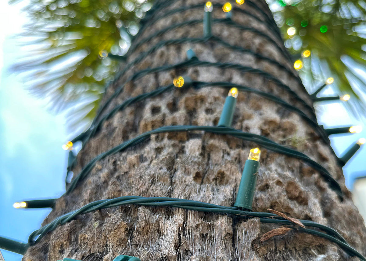 NxG® Light Strings