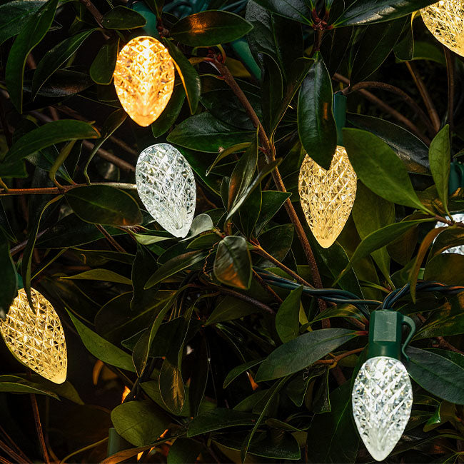 25L Faceted C9 LED Light String, 8in Bulb Spacing