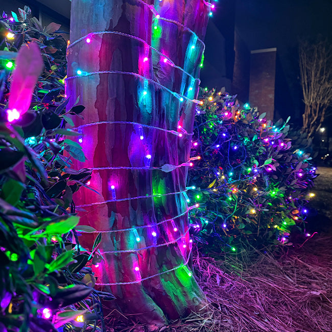 70L 7mm LED Light String, 6in Bulb Spacing