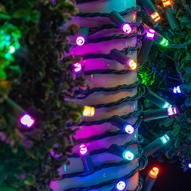 70L 7mm LED Light String, 6in Bulb Spacing