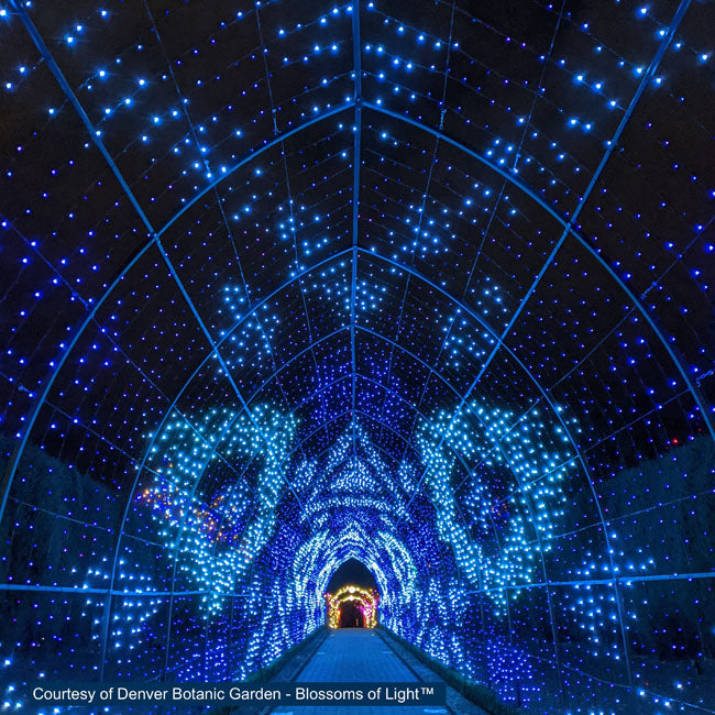 Cathedral Tunnel Structures – S4 Lights