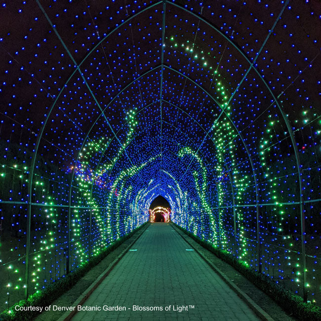 Cathedral Tunnel Structures – S4 Lights