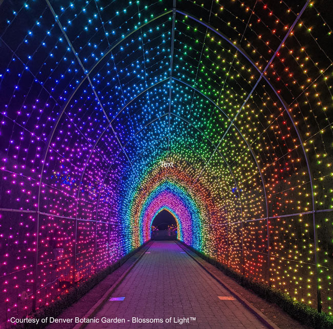 Cathedral Tunnel Structures – S4 Lights
