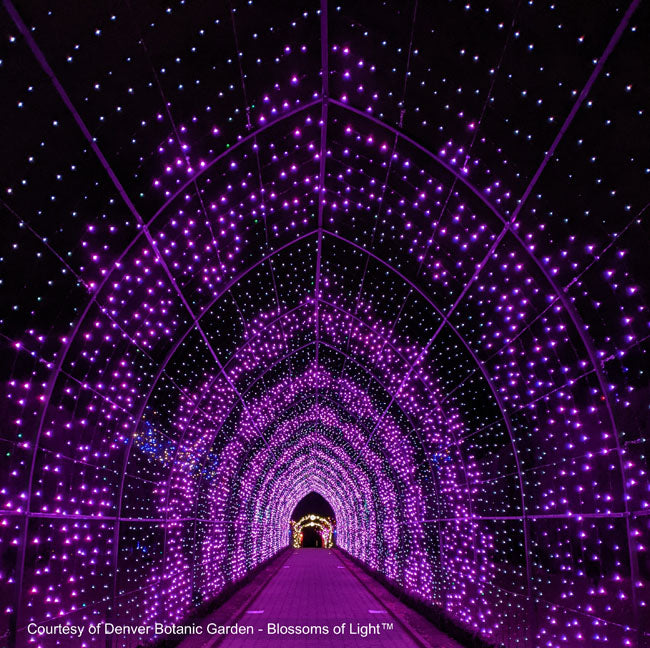 Cathedral Tunnel Structures – S4 Lights