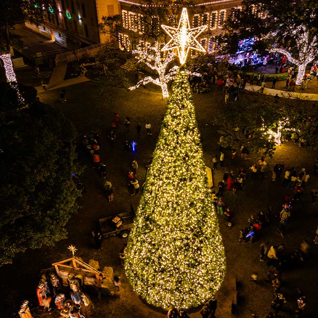 Pre-lit Warm White 7mm SlimLine Tannenbaum Christmas Tower Tree