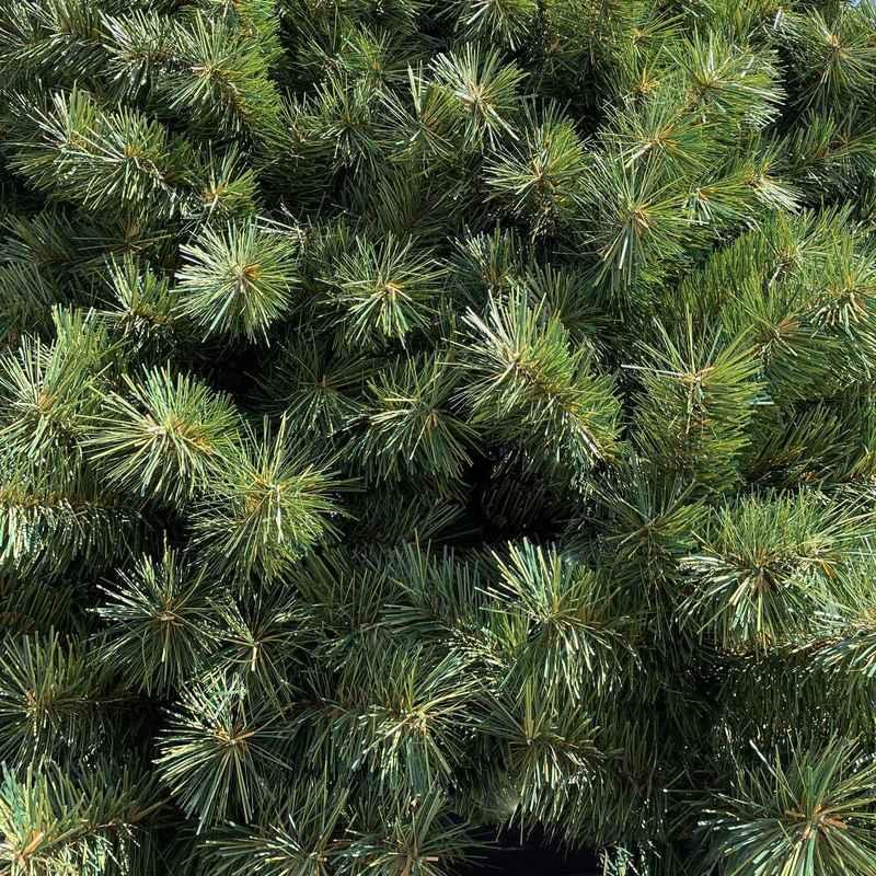 Pre-lit Warm White 7mm SlimLine Tannenbaum Christmas Tower Tree
