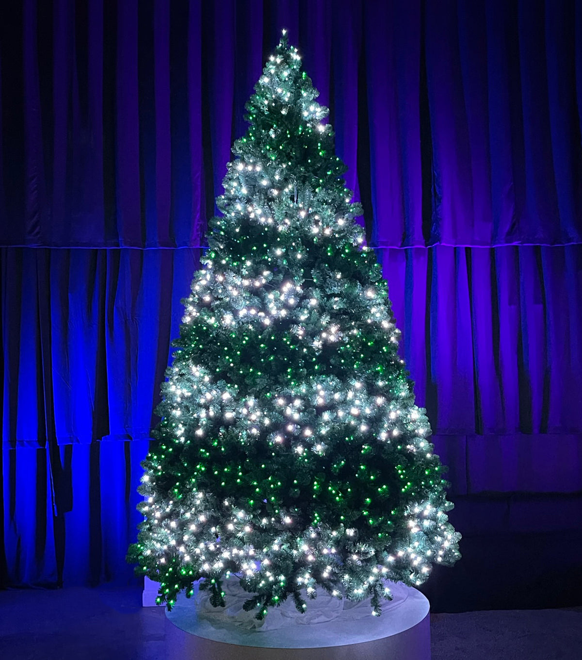 Animated RGB Pixie Sequoia Christmas Tree
