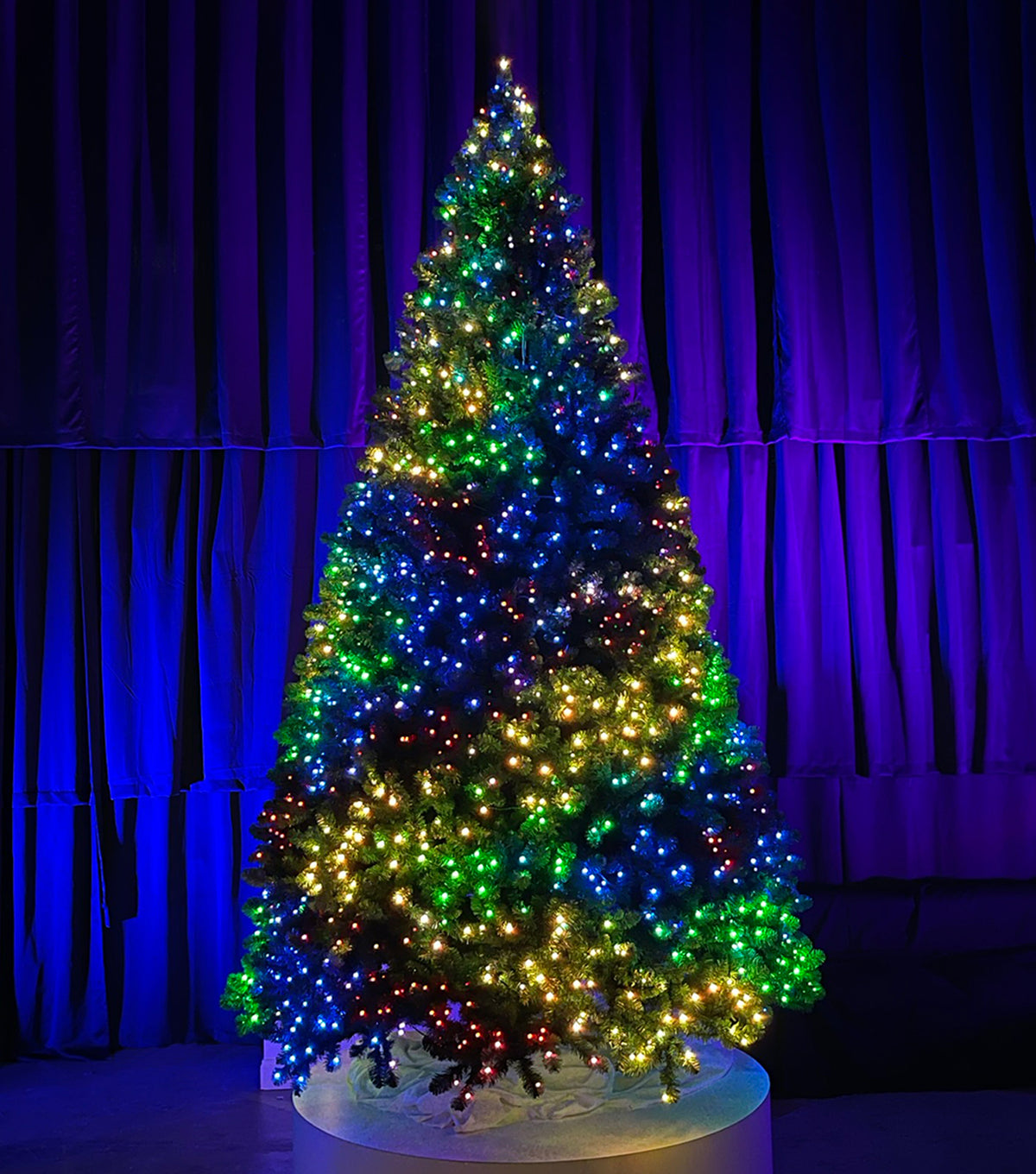 Animated RGB Pixie Sequoia Christmas Tree