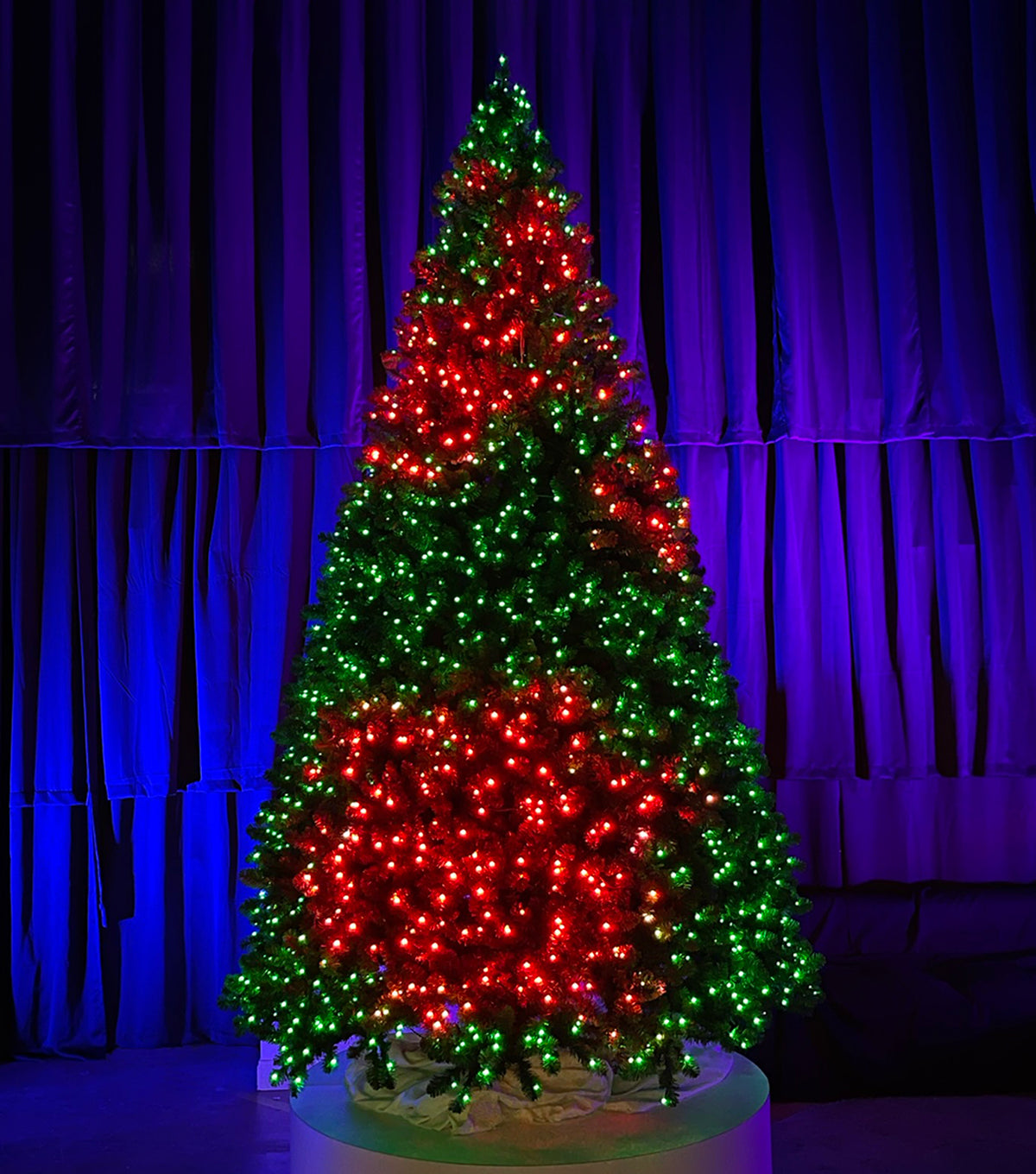 Animated RGB Pixie Sequoia Christmas Tree