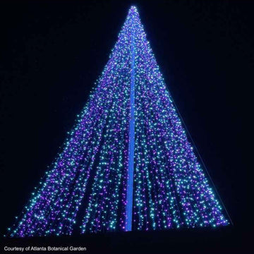 Pole Tree Structures