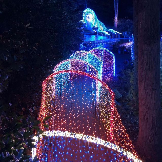 S4 Lights: Commerical Decorative Holiday Lights & Greenery