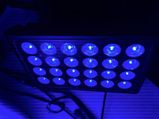 LED Baby Bertha RGB Light