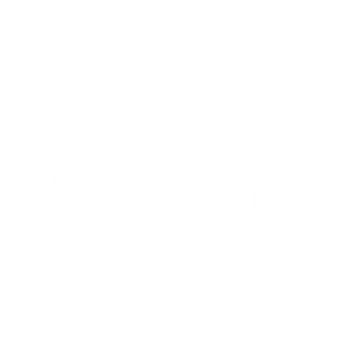 S4 Lights logo